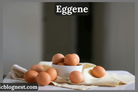 eggene