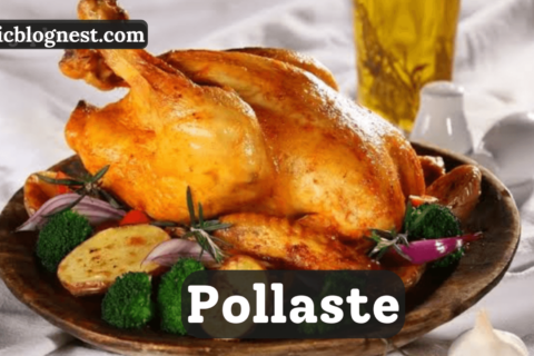 pollaste