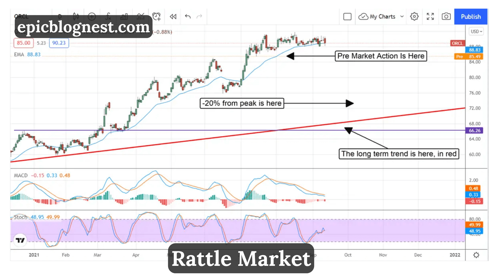 rattle market